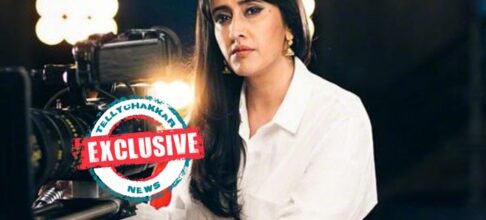 EXCLUSIVE! Gul Khan’s hit shows on Starplus to transform true into a MOVIE for Ankahee Dastaan; Iss Pyaar Ko Kya Naam Develop, Ishqbaaz or Nazar to assemble a comeback?