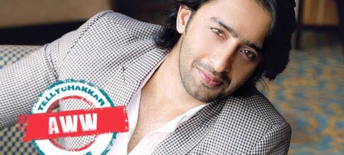 AWW! Shaheer Sheikh on his toddler girl Anaya:  It is stated that mothers cling a truly strong connection however I don’t know why I am so linked to her