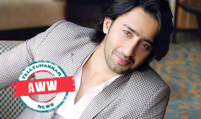 AWW! Shaheer Sheikh on his toddler girl Anaya:  It is stated that mothers cling a truly strong connection however I don’t know why I am so linked to her