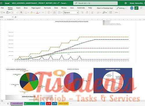 357605I will create excel earned value project and maintenance management (EVM) dashboards, graphs, and charts