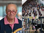 Schumer: Use DOGS to defend up airport security strains moving if vaccination rule creates crew shortage