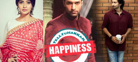 HAPPINESS! Sony SAB actors prolong heartiest Diwali wants to their followers, fragment fond memories of this festival