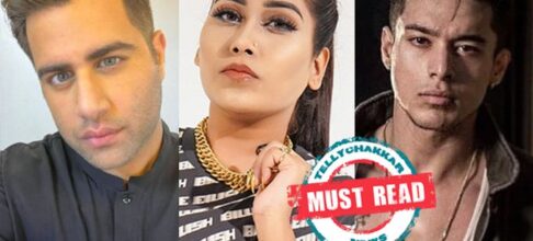 Have to read! Bigg Boss 15: Rajiv Adatia’s sister talks about Afsana Khan’s allegations against him, Pratik’s below-the-belt jokes, and more