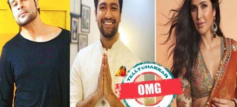 OMG! Krushna Abhishek Unearths Essential parts in regards to the Vicky