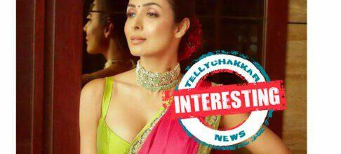 INTERESTING! Malaika Arora Opens Up about age shaming and how she handles trolls on social media