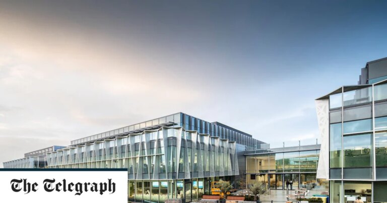 367953 british tech champion arm axes uk jobs because it prepares new york listing