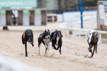 Oxford Stadium jobs advertised  as greyhound racing makes a comeback