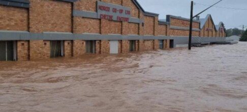 Lismore ice cream factory to proceed with mass sacking despite $35m federal flood grant