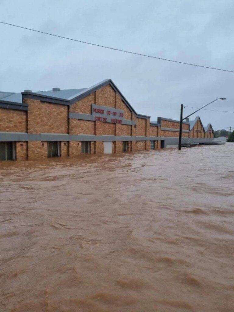 380019 lismore ice cream factory to proceed with mass sacking despite 35m federal flood grant