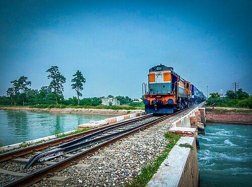 train by trees against blue sky