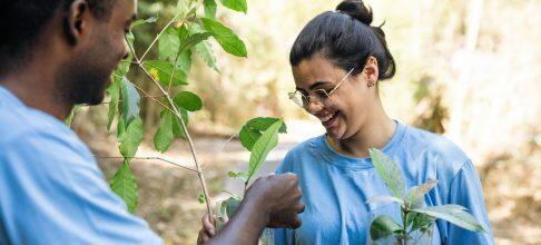 382654 to curb climate change young people are growing the green jobs market