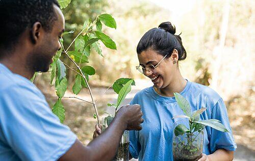 382654 to curb climate change young people are growing the green jobs market