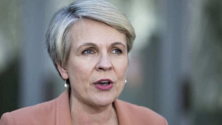 384918 plibersek hails recycling jobs boom as australia scrambles to meet targets