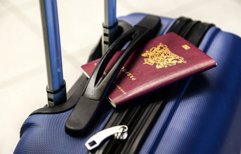 Highly-skilled Hungarian workforce fleeing the country – cause for concern?