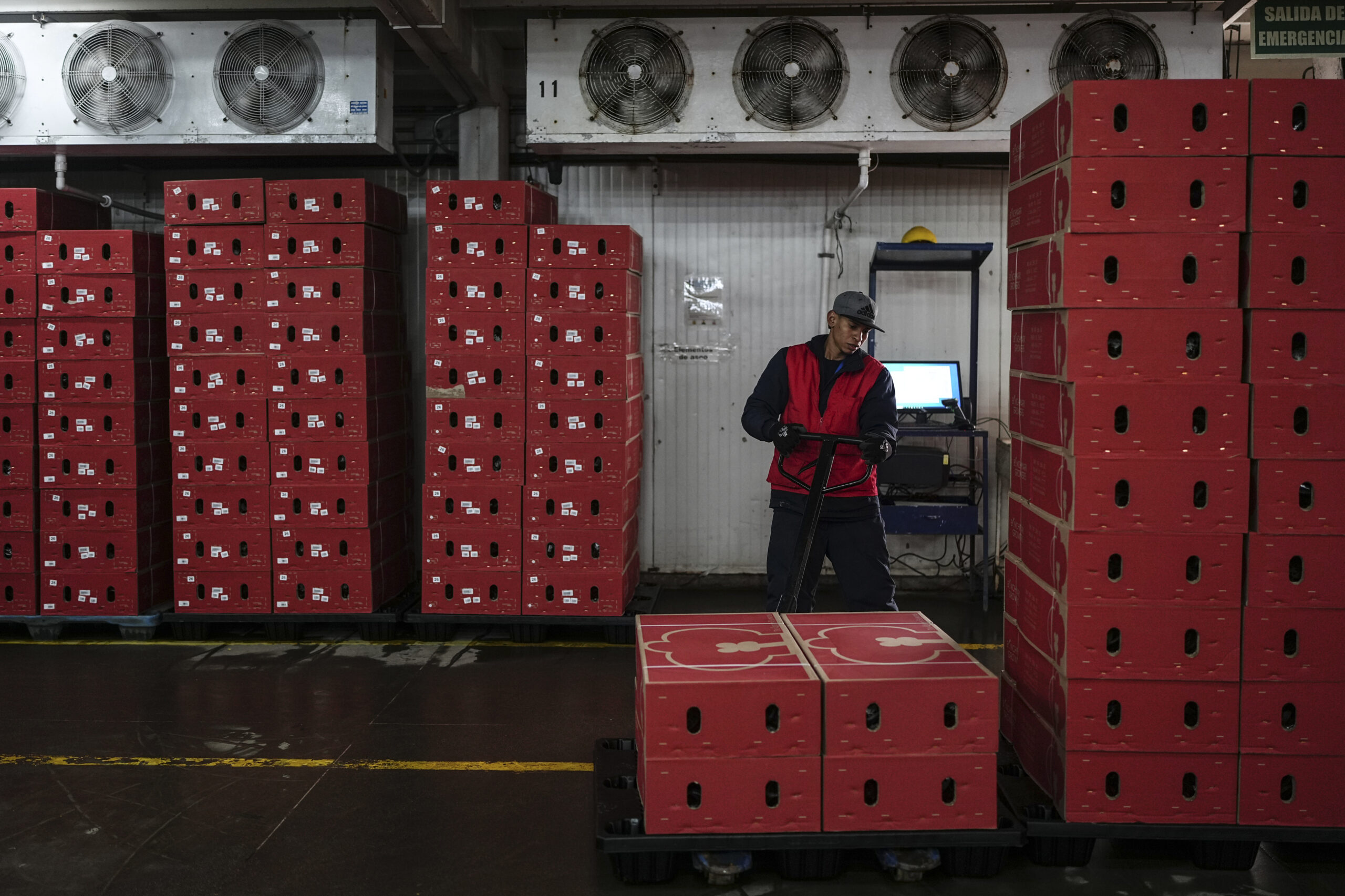 Explainer: What are tariffs and how do they work?