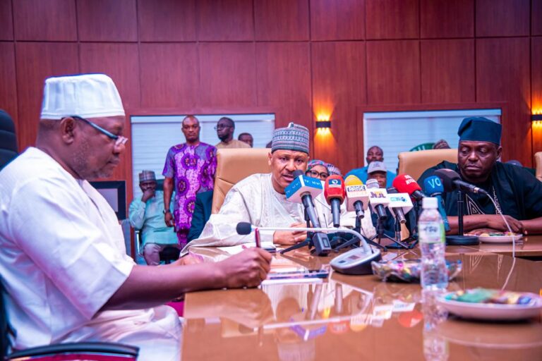 Flood Disaster Aftermath: FG Orders Deployment of Resources to Mokwa