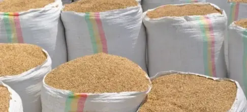 Rice farmers lament crippling local production
