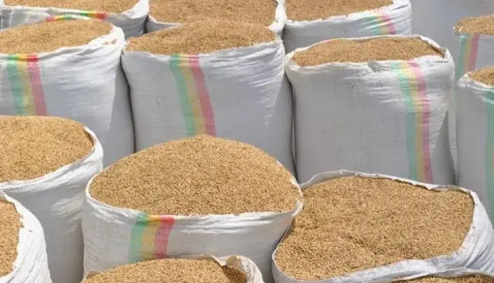 Rice farmers lament crippling local production