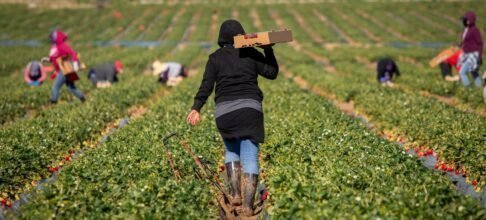 Immigrants in Europe and North America earn 18% less than natives – here’s why