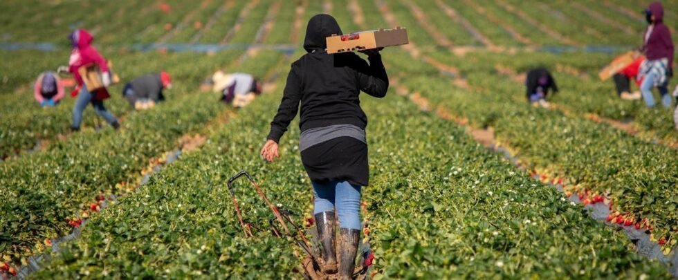 Immigrants in Europe and North America earn 18% less than natives – here’s why