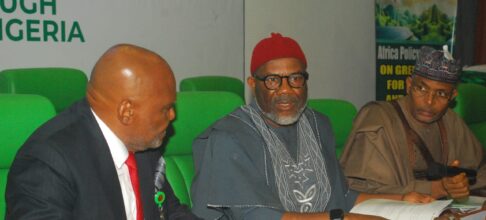 Reps call for skilled labour force in renewable energy