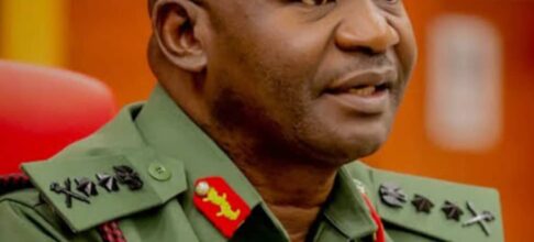 African Security: Nigeria Leads from the Front By Edward Gabkwet