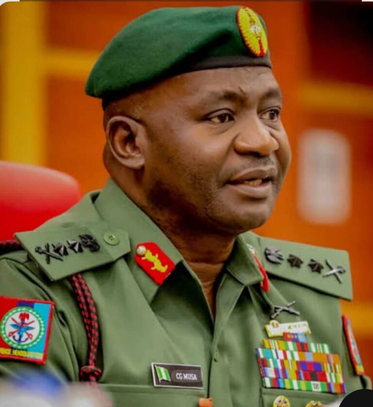 African Security: Nigeria Leads from the Front By Edward Gabkwet