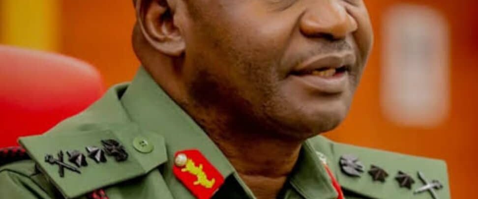 African Security: Nigeria Leads from the Front By Edward Gabkwet