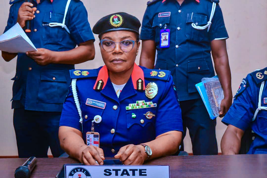 Ogun NSCDC arrests over 50 vandals of critical national assets in 11 months
