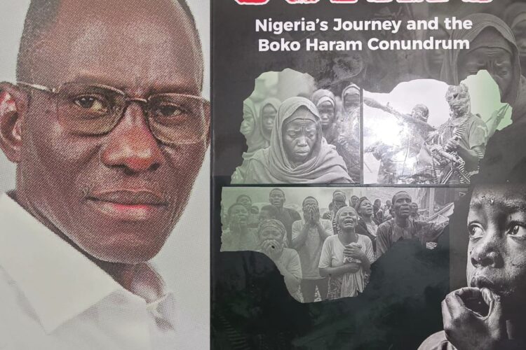 Irabor’s Scars on Northern Boko Haram and the Dead Horse Theory by YAShuaib