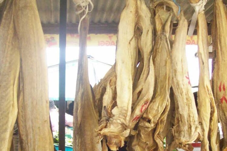 Council tasks authorities on hazardous stockfish preservation methods