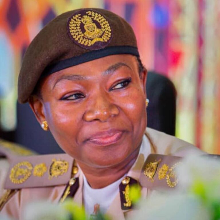 FG to introduce new emergency passports in 2026