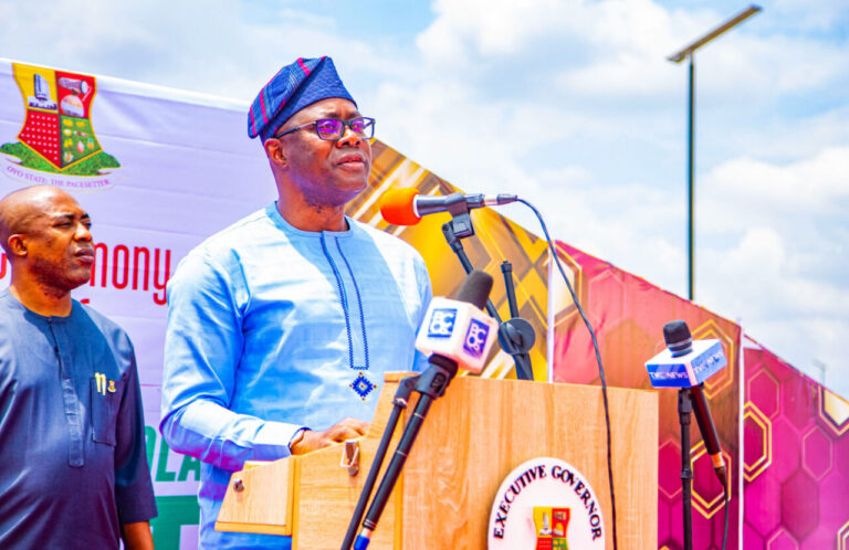 Strengthen democracy, Makinde charges newly