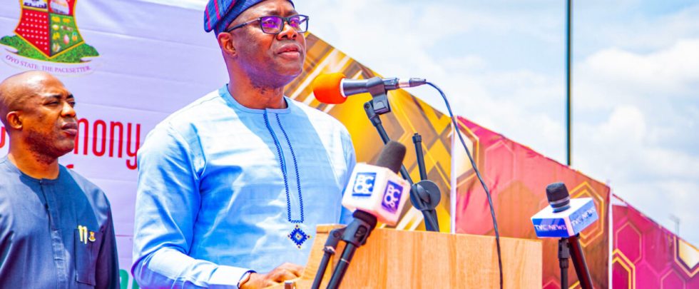 Strengthen democracy, Makinde charges newly