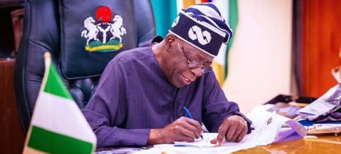 Tinubu Courts Foreign Investment For $30bn Green Energy Boom