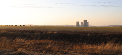 From coal to crops: Grootvlei’s climate-smart horticulture centre takes root