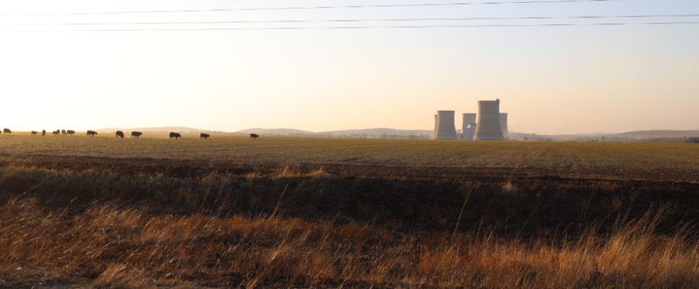 From coal to crops: Grootvlei’s climate-smart horticulture centre takes root