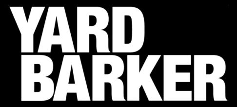 Super Bowl: Breaking News, Rumors & Highlights | Yardbarker