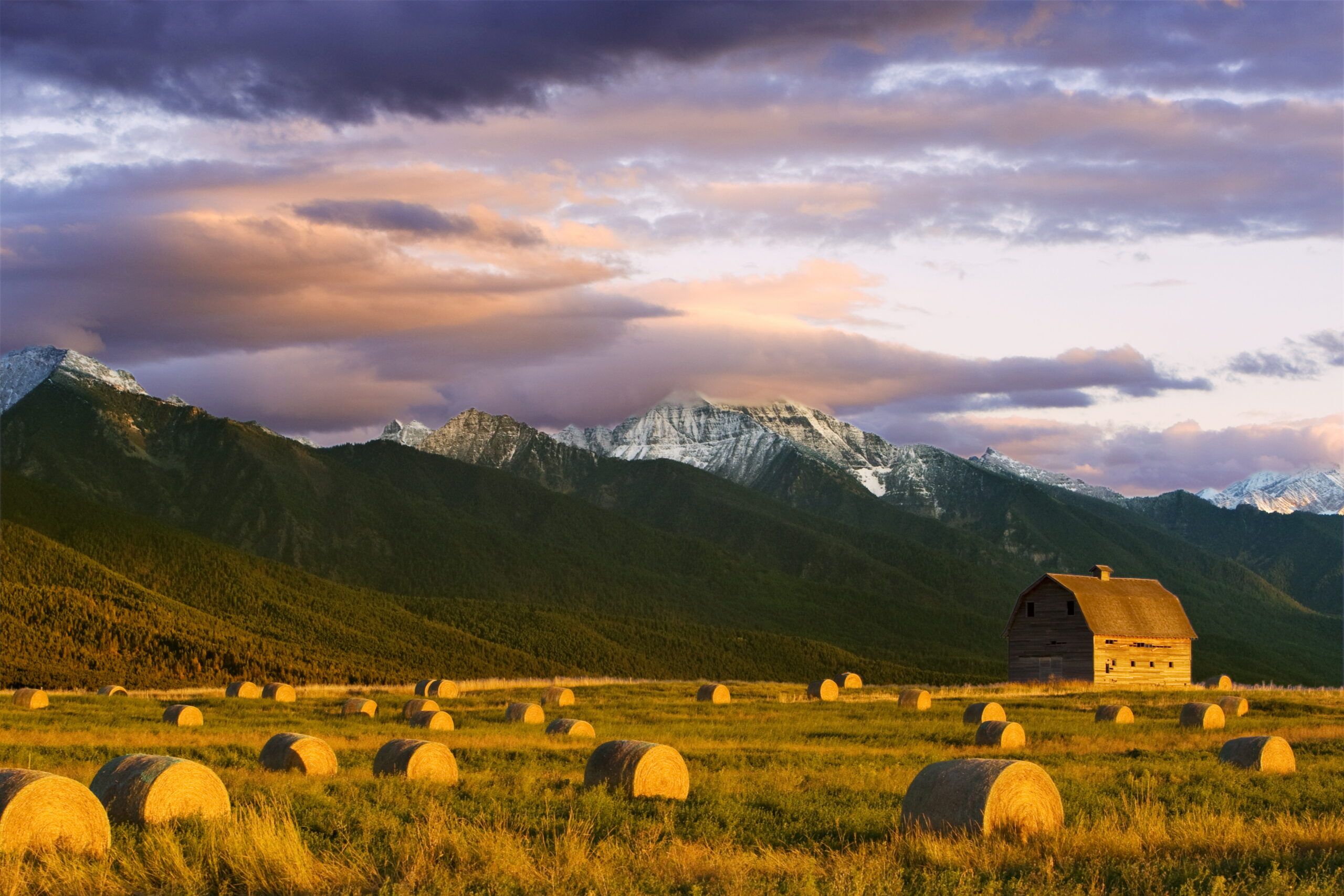 Navigating Global Trade Challenges: Lessons for Freelancers and Consultants from Montana Farmers